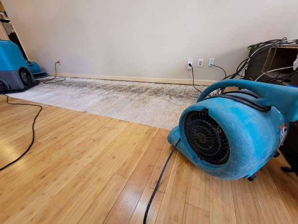 Professional Sewage Cleanup technician working in Maggie Valley, NC